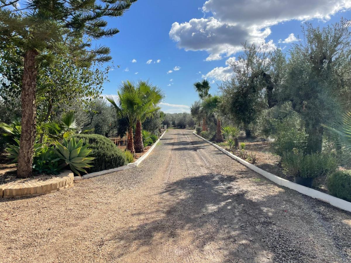 El Paraiso Del Olivar Bollullos de la Mitacion Exterior foto