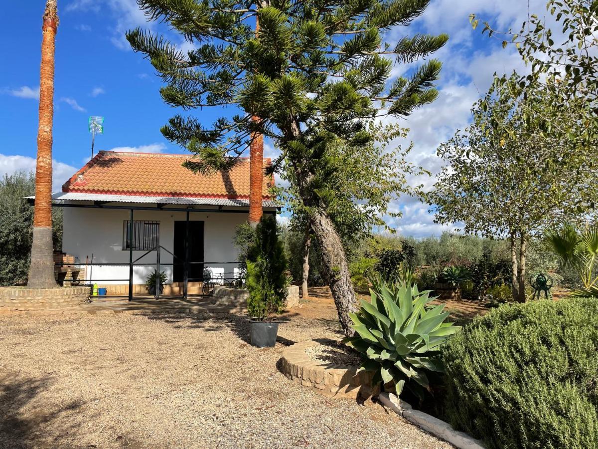 El Paraiso Del Olivar Bollullos de la Mitacion Exterior foto