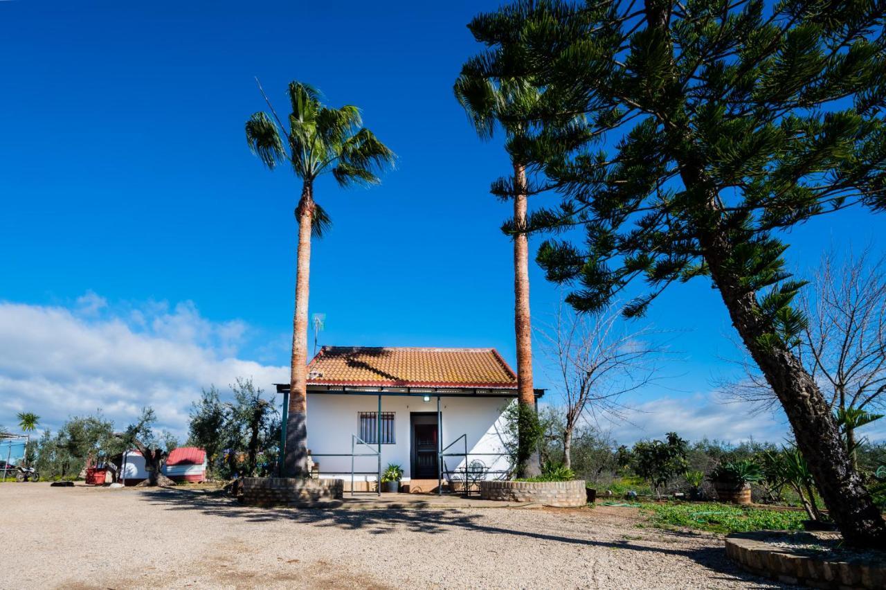 El Paraiso Del Olivar Bollullos de la Mitacion Exterior foto