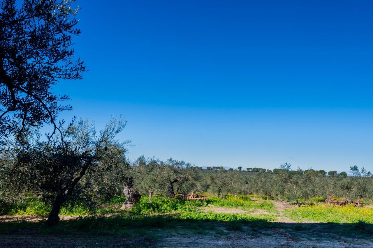 El Paraiso Del Olivar Bollullos de la Mitacion Exterior foto